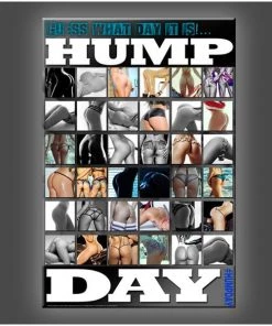 Daveed Benito Daveed Benito - Glamour Models "Hump Day" Stretched Canvas Print (Various Sizes)