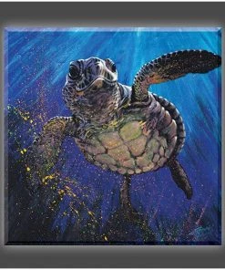 Stephen Fishwick "Kemps' Ridley" Stretched Canvas Print (Various Sizes)