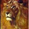 Stephen Fishwick "Lion" Stretched Canvas Print (Various Sizes) Stephen Fishwick - For Life
