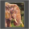 Stephen Fishwick Stephen Fishwick - For Life "Elephant" Stretched Canvas Print (Various Sizes)
